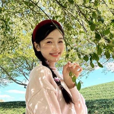 达迪·克拉维兹的学徒生涯